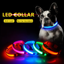 Load image into Gallery viewer, USB Charging Led Dog Collar Anti-Lost/Avoid Car Accident Collar For Dogs Puppies Dog Collars Leads LED Supplies Pet Products