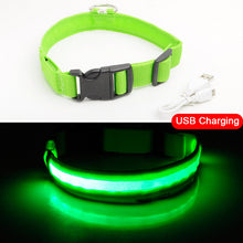 Load image into Gallery viewer, USB Charging Led Dog Collar Anti-Lost/Avoid Car Accident Collar For Dogs Puppies Dog Collars Leads LED Supplies Pet Products