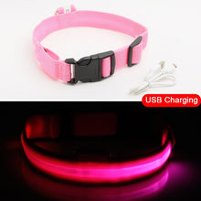 Load image into Gallery viewer, USB Charging Led Dog Collar Anti-Lost/Avoid Car Accident Collar For Dogs Puppies Dog Collars Leads LED Supplies Pet Products