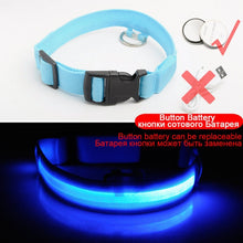 Load image into Gallery viewer, USB Charging Led Dog Collar Anti-Lost/Avoid Car Accident Collar For Dogs Puppies Dog Collars Leads LED Supplies Pet Products