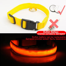 Load image into Gallery viewer, USB Charging Led Dog Collar Anti-Lost/Avoid Car Accident Collar For Dogs Puppies Dog Collars Leads LED Supplies Pet Products