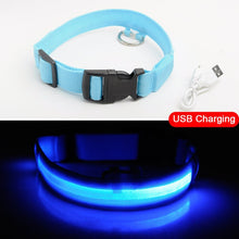 Load image into Gallery viewer, USB Charging Led Dog Collar Anti-Lost/Avoid Car Accident Collar For Dogs Puppies Dog Collars Leads LED Supplies Pet Products

