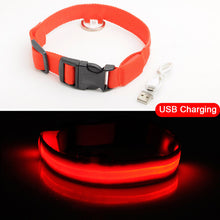 Load image into Gallery viewer, USB Charging Led Dog Collar Anti-Lost/Avoid Car Accident Collar For Dogs Puppies Dog Collars Leads LED Supplies Pet Products
