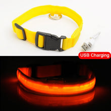 Load image into Gallery viewer, USB Charging Led Dog Collar Anti-Lost/Avoid Car Accident Collar For Dogs Puppies Dog Collars Leads LED Supplies Pet Products
