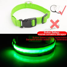 Load image into Gallery viewer, USB Charging Led Dog Collar Anti-Lost/Avoid Car Accident Collar For Dogs Puppies Dog Collars Leads LED Supplies Pet Products
